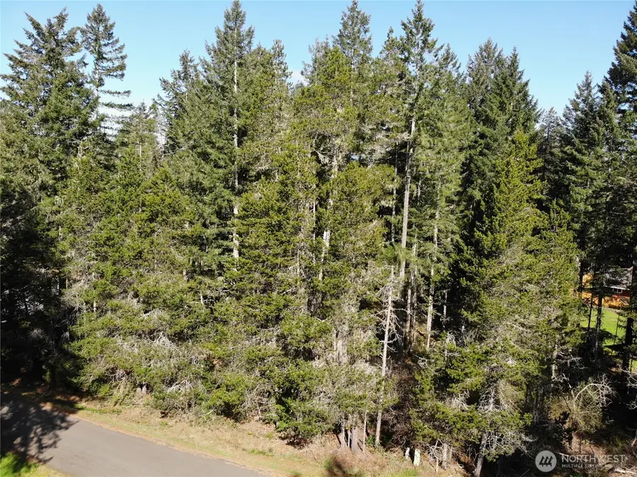 41 N Varden Way, Hoodsport, WA 98548 - #2