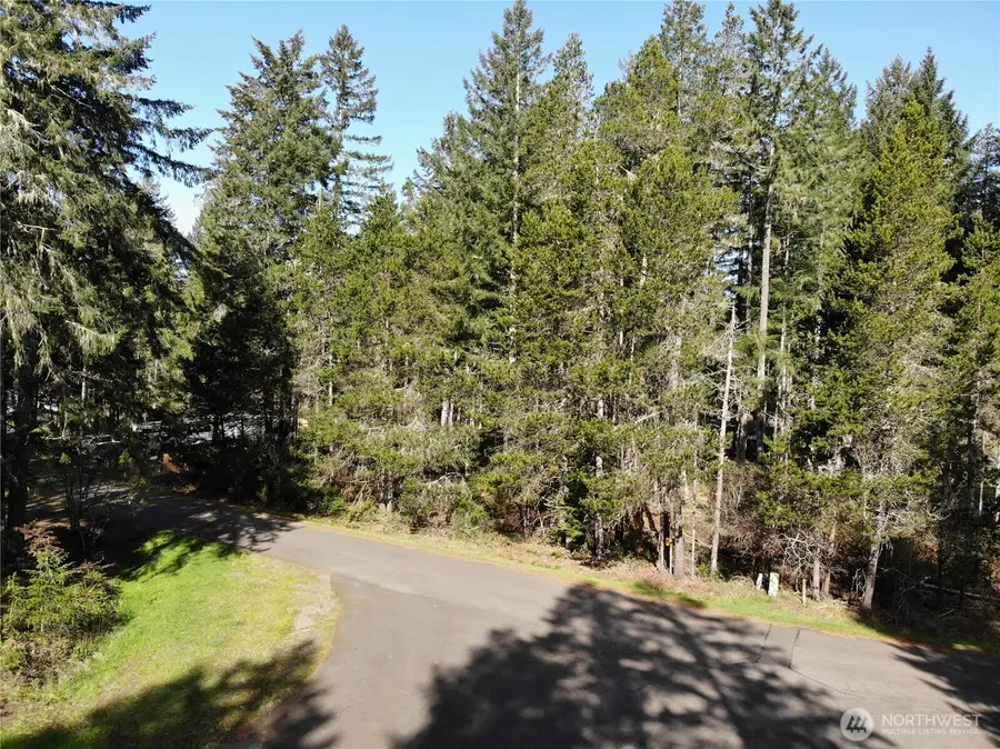 41 N Varden Way, Hoodsport, WA 98548 - #3
