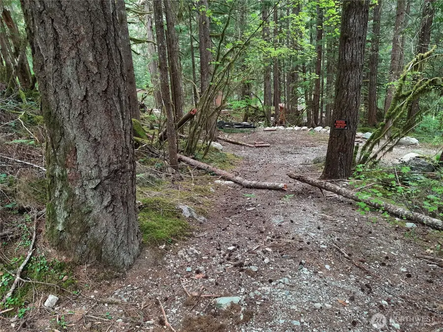 0 Cascade River Road #148, Marblemount, WA 98263 - #2
