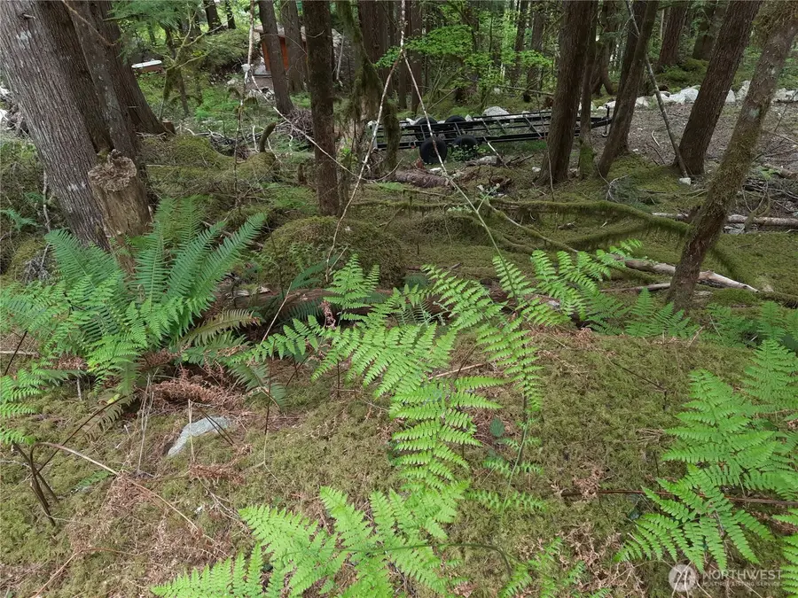 0 Cascade River Road #148, Marblemount, WA 98263 - #3