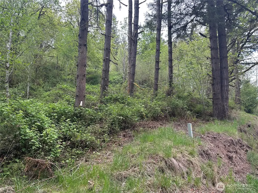 470 Italian Creek Road, Kalama, WA 98625 - #2
