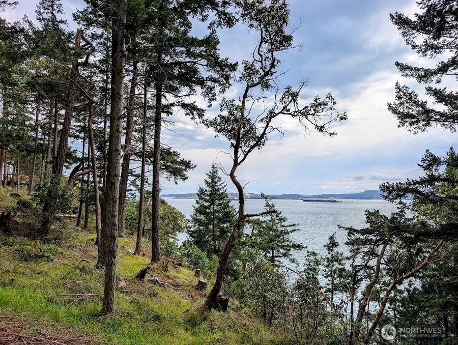 7537 Holiday Boulevard, Guemes Island, WA 98221 - #3