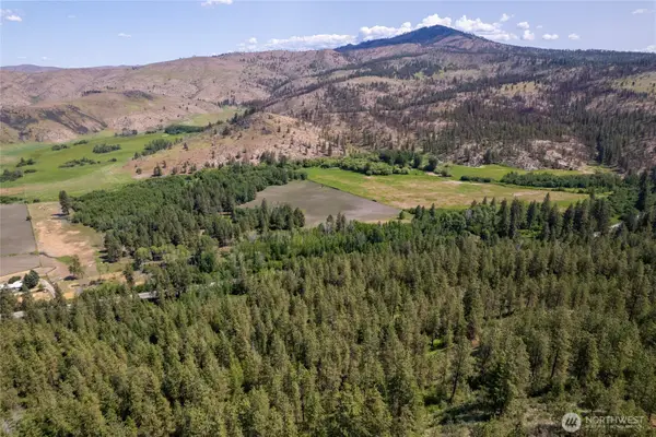 0 Peter Dan Rd, Coulee Dam, WA 99116