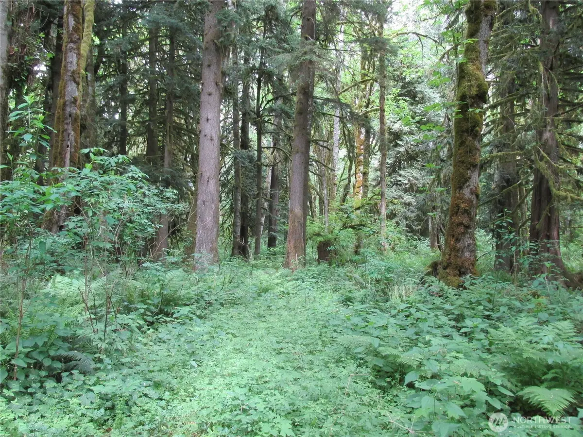 0 Arnold Lane, Concrete, WA 98237 - #1
