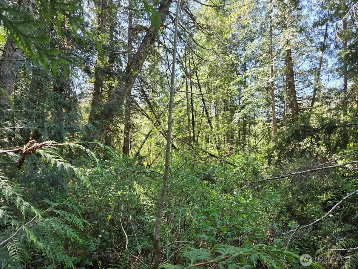 0 Falls Road, Randle, WA 98377 - #1