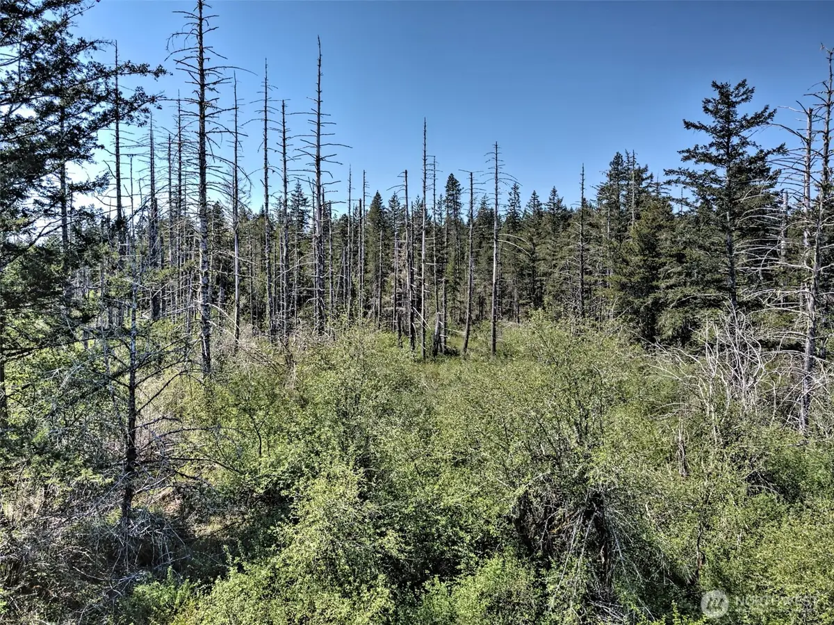 1161 NE Toonerville Drive #TR 5 OF SURVEY VOL 3 PG 98, Belfair, WA 98528 - #1