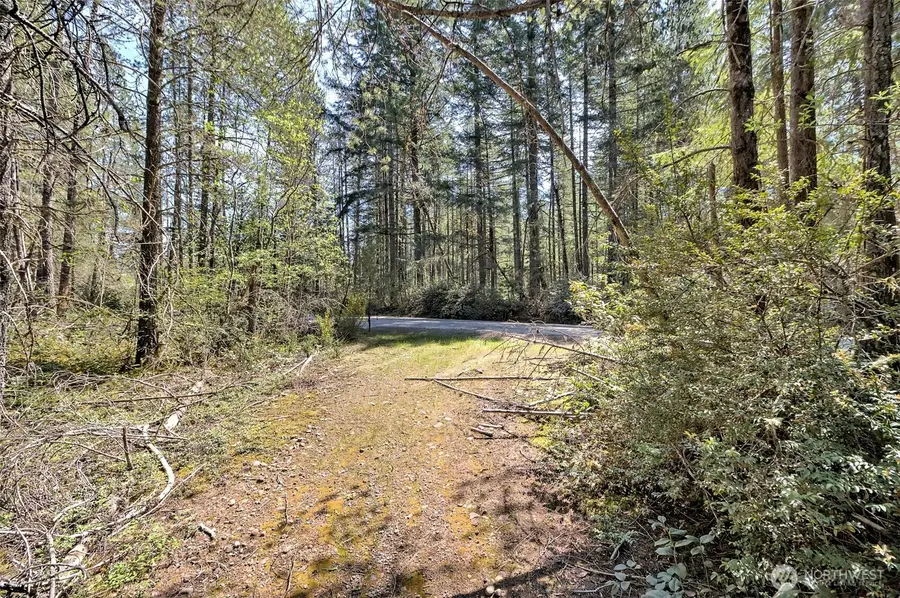 1161 NE Toonerville Drive #TR 5 OF SURVEY VOL 3 PG 98, Belfair, WA 98528 - #3