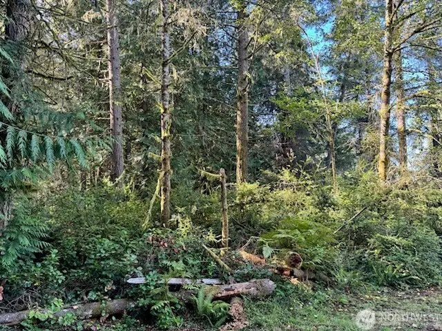 12408 93rd Street #55, Anderson Island, WA 98303 - #2