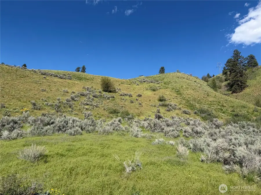 0 Tyee View Loop #A 78, Waterville, WA 98858 - #2