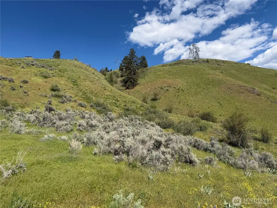 0 Tyee View Loop #A 78, Waterville, WA 98858 - #3