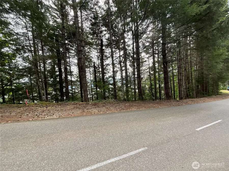6 X N Colony Surf Drive, Lilliwaup, WA 98555 - #2