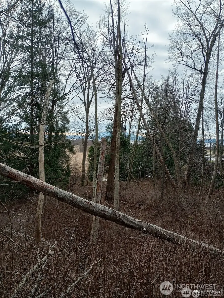 0 Red River Road, Ferndale, WA 98248 - #2