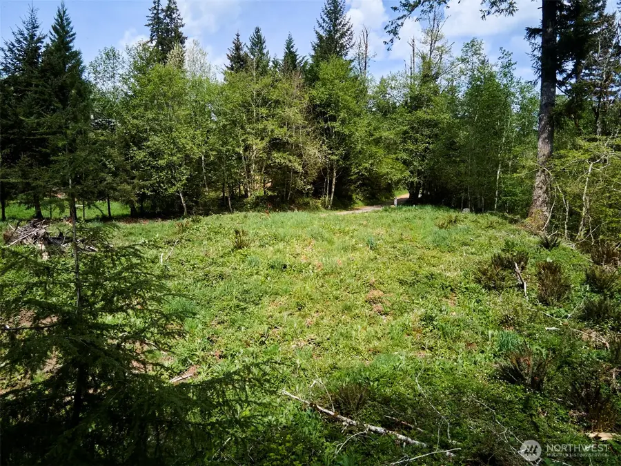 140 Skinner Road, Woodland, WA 98674 - #2