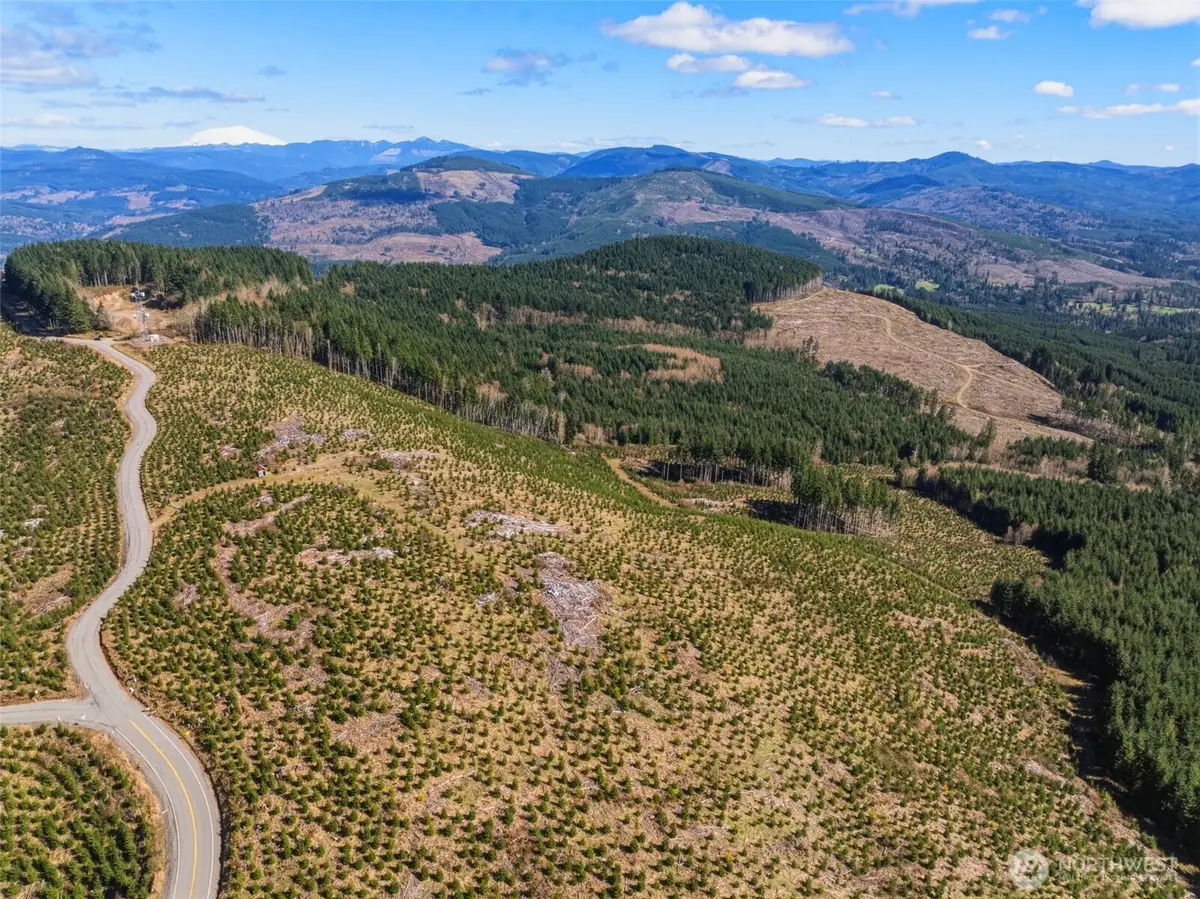 0 Hamilton Heights Road, Kelso, WA 98626 - #1