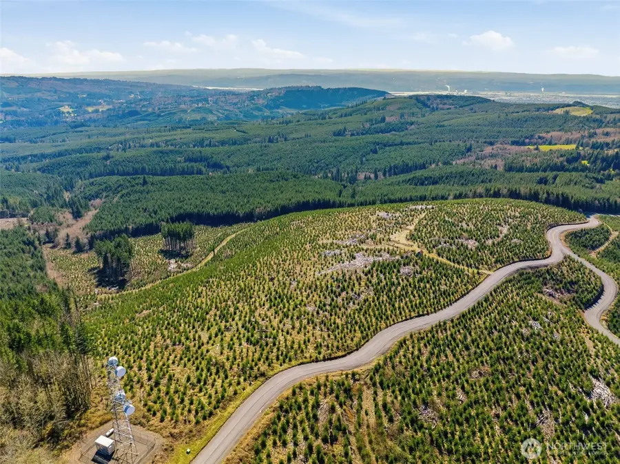 0 Hamilton Heights Road, Kelso, WA 98626 - #3