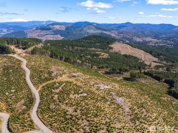 0 Mt Brynion Road #Lot 2, Kelso, WA 98626