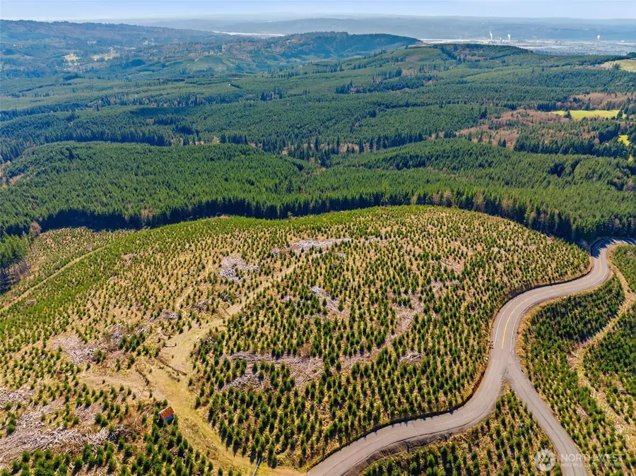 0 Mt Brynion Road #Lot 2, Kelso, WA 98626 - #3
