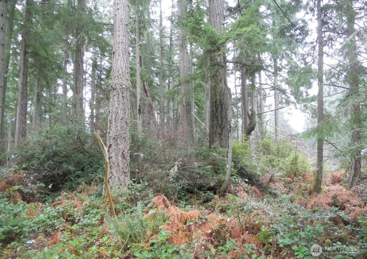 10315 107th Avenue Ct #Riv Lot 38, Anderson Island, WA 98303 - #1