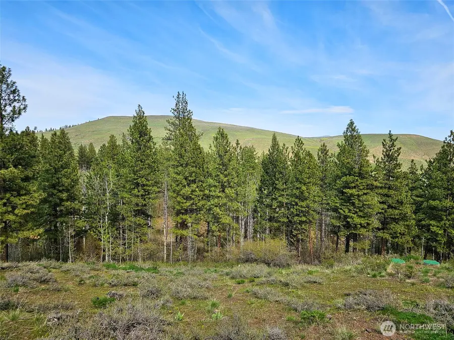 0 Whitebark Lane #70, Winthrop, WA 98862 - #3