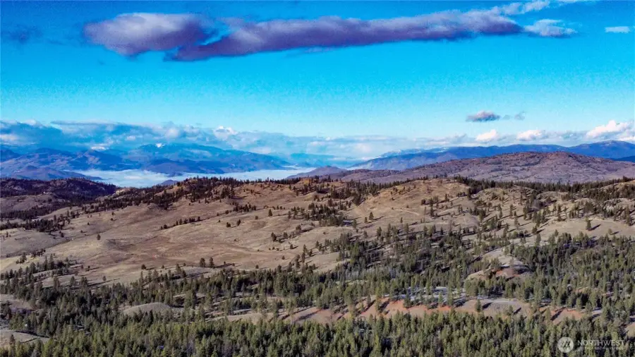 227 Red Feather Road #LOT 17, Tonasket, WA 98855 - #2