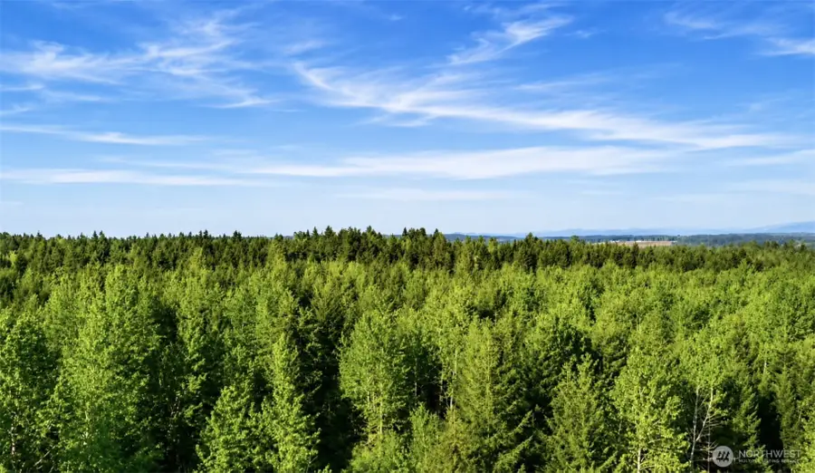 15331 Sunnyside Lane Se, Yelm, WA 98597 - #2