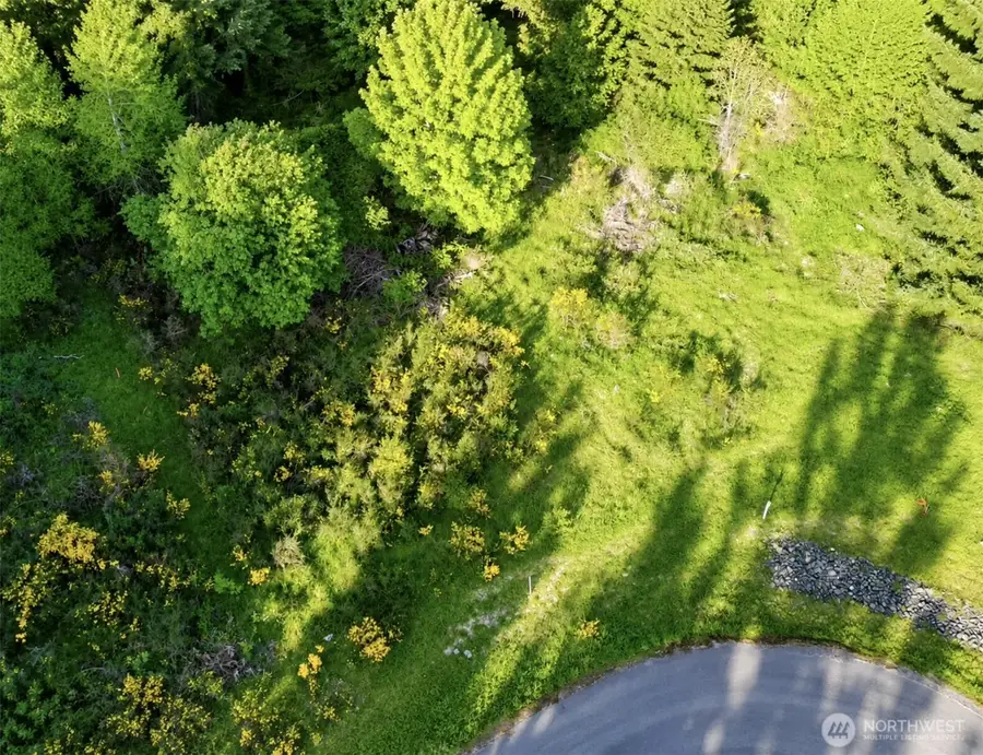 15331 Sunnyside Lane Se, Yelm, WA 98597 - #3