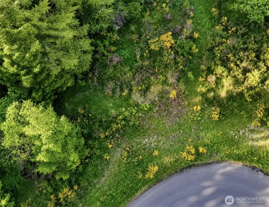 15313 Sunnyside Lane Se, Yelm, WA 98597 - #3