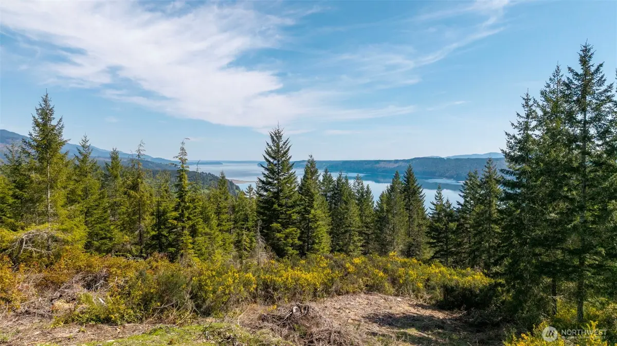 778899 N Hamma Ridge Drive #1 & 2, Lilliwaup, WA 98555 - #1