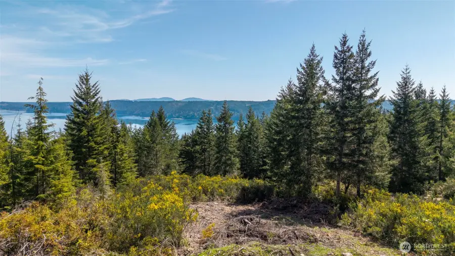 778899 N Hamma Ridge Drive #1 & 2, Lilliwaup, WA 98555 - #2