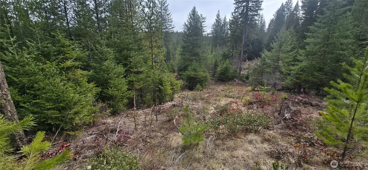 4910 Getna Way Road, Springdale, WA 99173 - #1
