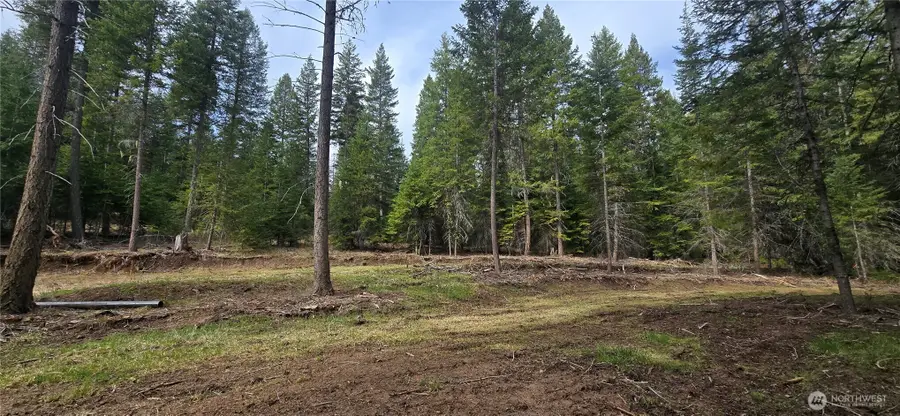4910 Getna Way Road, Springdale, WA 99173 - #3