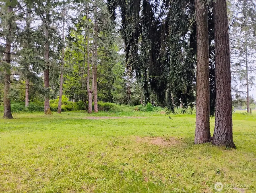 36418 56th Ave Ct S, Roy, WA 98580 - #3