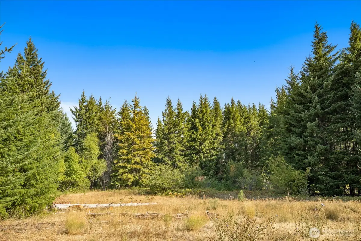 321 Goat Creek Lane #8, Cle Elum, WA 98922 - #1