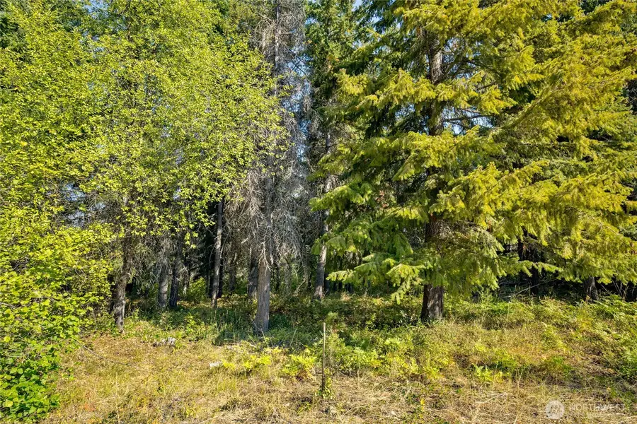 321 Goat Creek Lane #8, Cle Elum, WA 98922 - #3