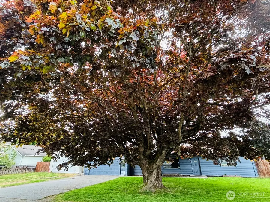 1922 S Wall Street, Mount Vernon, WA 98273 - #2