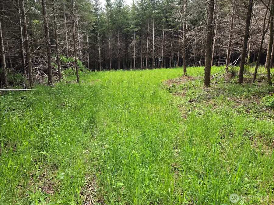 7 Beaver Hill Lane #8, Montesano, WA 98563 - #2