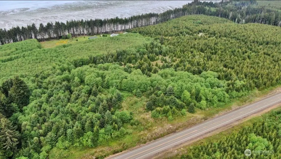 50 Willapa Sands Lane, South Bend, WA 98586 - #2