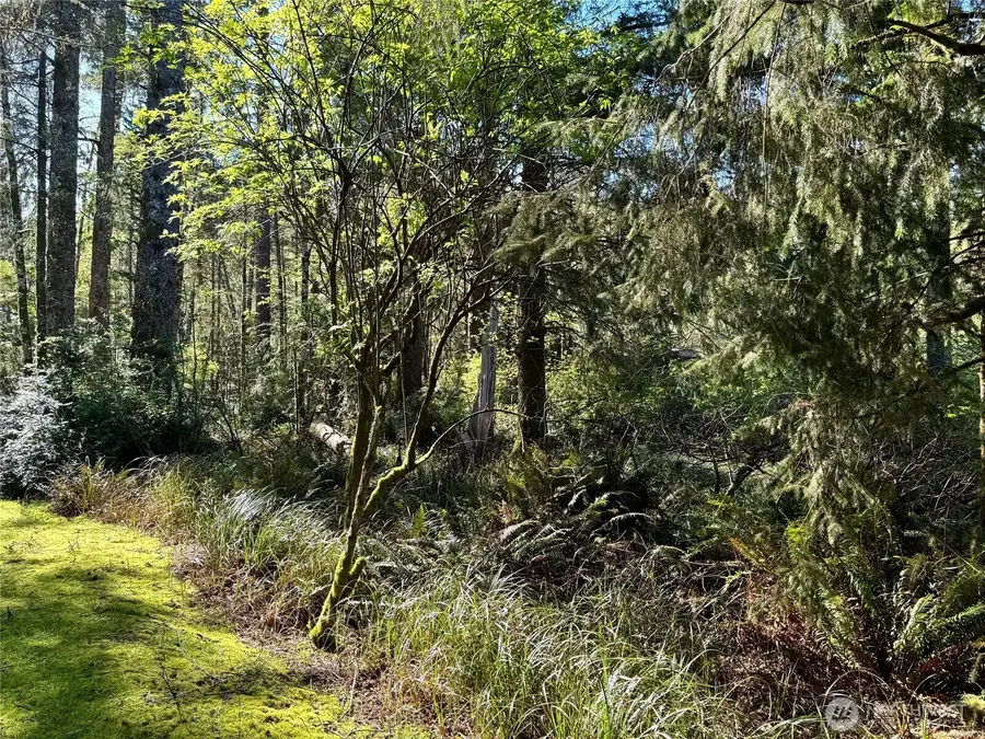 186 Murphy Court Se #35, Ocean Shores, WA 98569 - #3