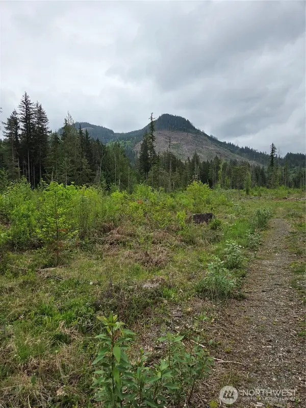 0 Wa-547, Sumas, WA 98295