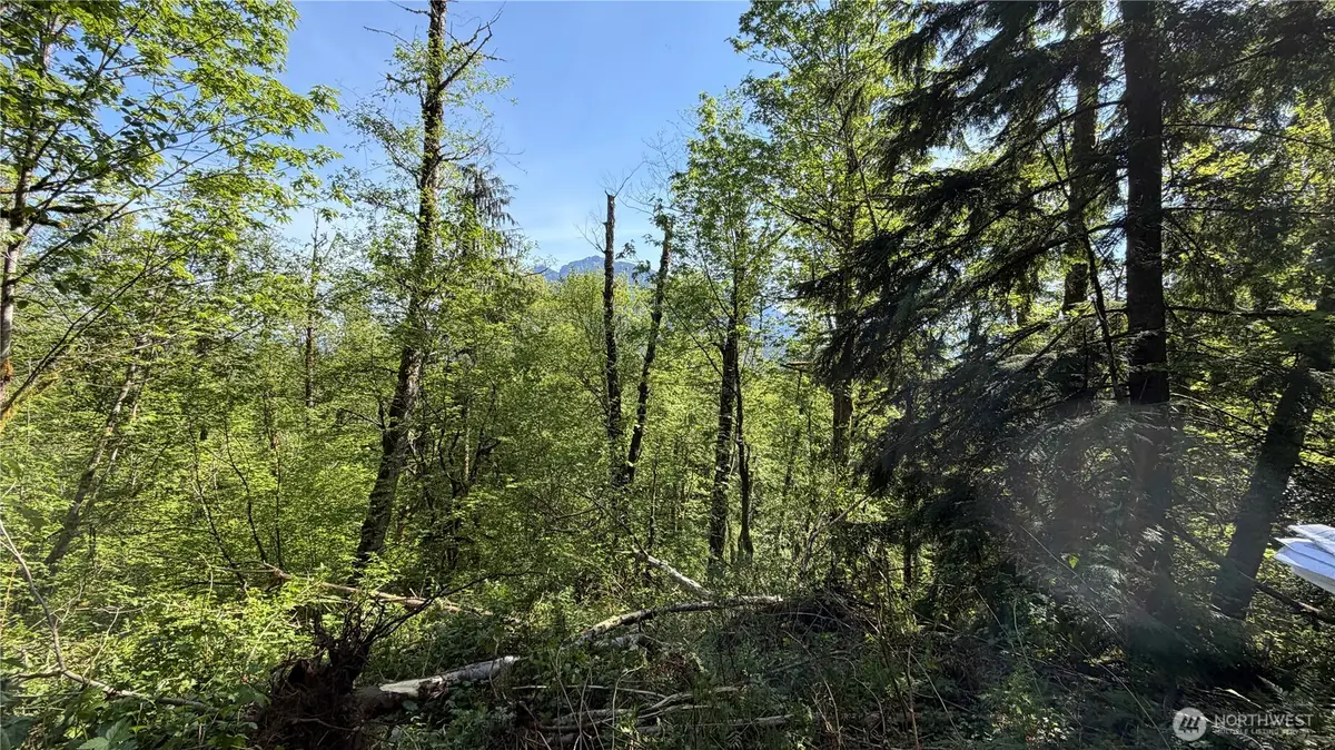 135 Xx 415th Way Se, North Bend, WA 98045 - #1