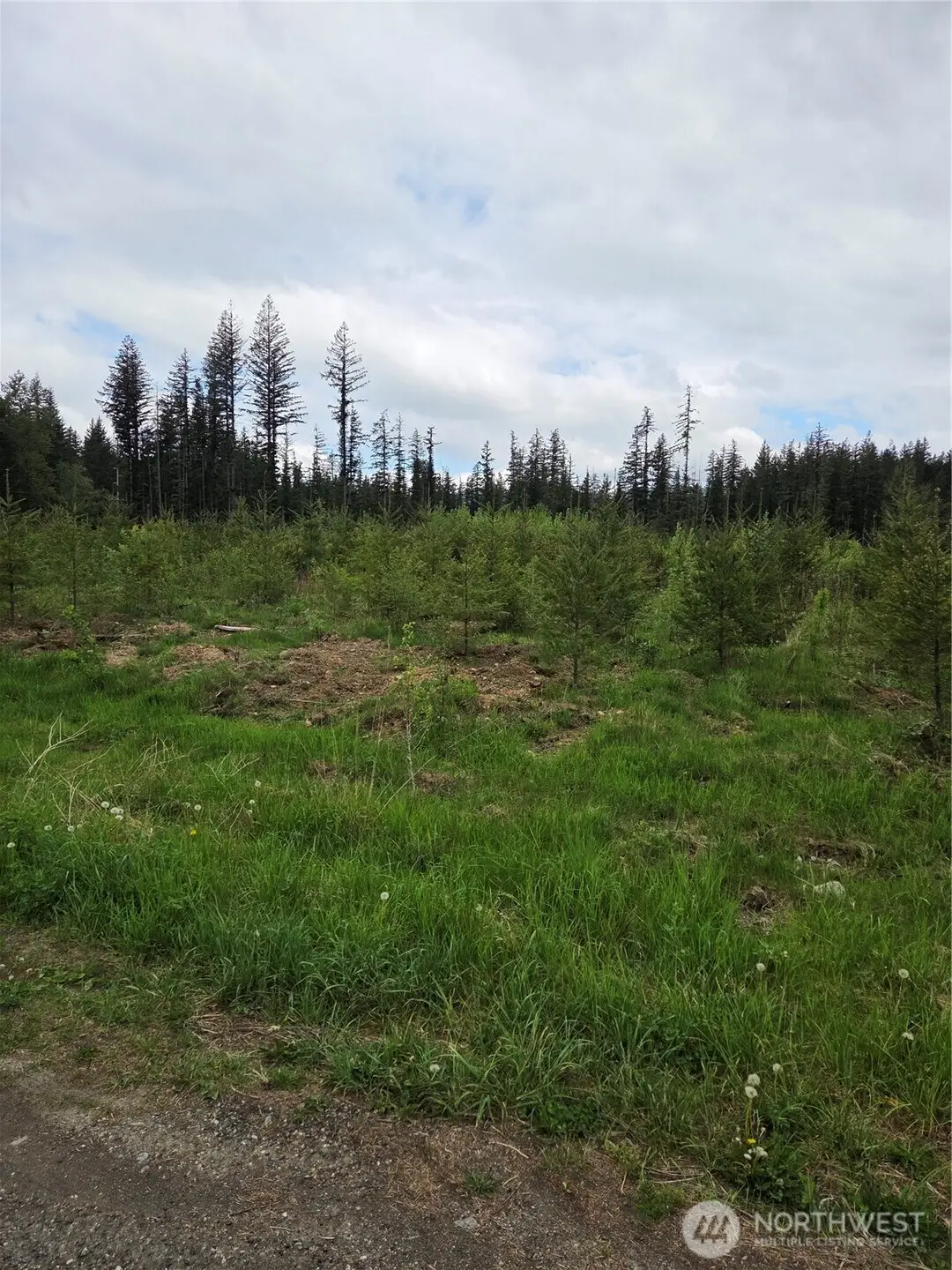 0 Windon Lane, Peaceful Valley, WA 98295 - #1