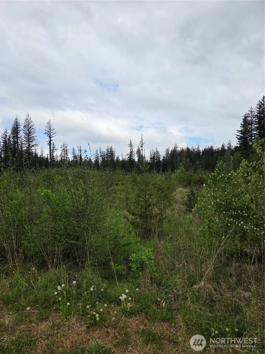 0 Windon Lane, Peaceful Valley, WA 98295 - #3