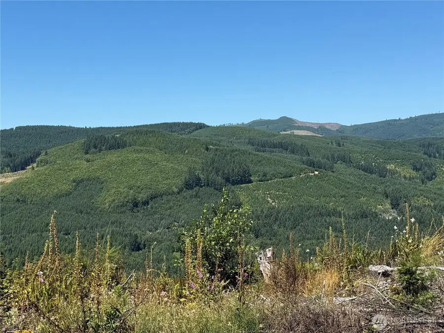 3725 Little Kalama River Road #E, Woodland, WA 98584 - #3
