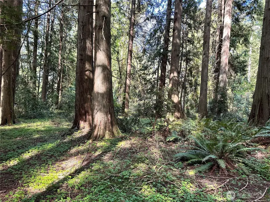 0 NW Lakeness #031, Poulsbo, WA 98370 - #3