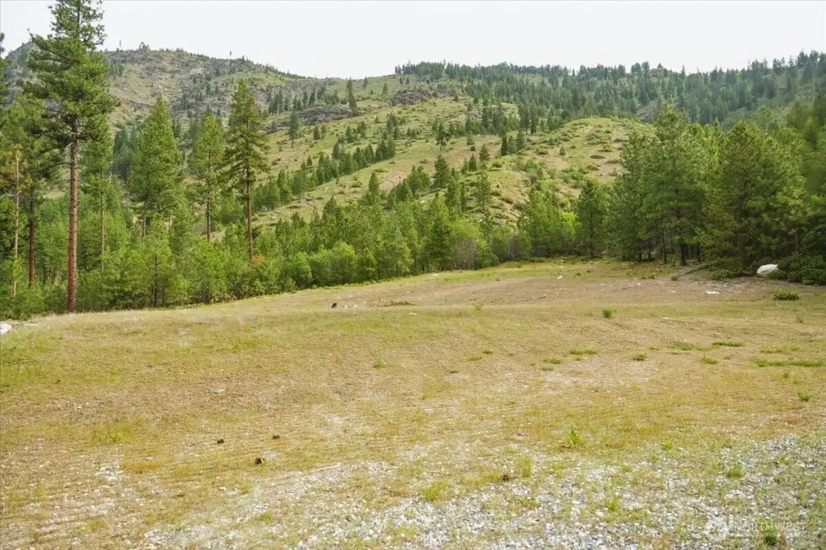 4 Lot Mossback Lane, Entiat, WA 98822 - #1