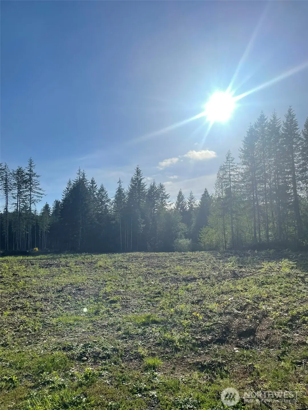 14253 W Cloquallum Road, Elma, WA 98546 - #1