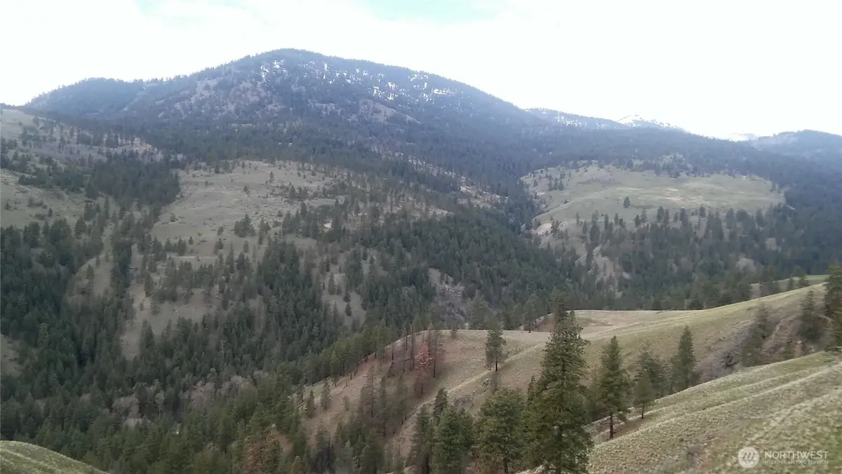 0 Tbd N Fork Salmon Creek Road, Conconully, WA 98819 - #1