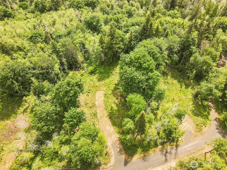 131 E Cascara Cove Lane, Shelton, WA 98584 - #3