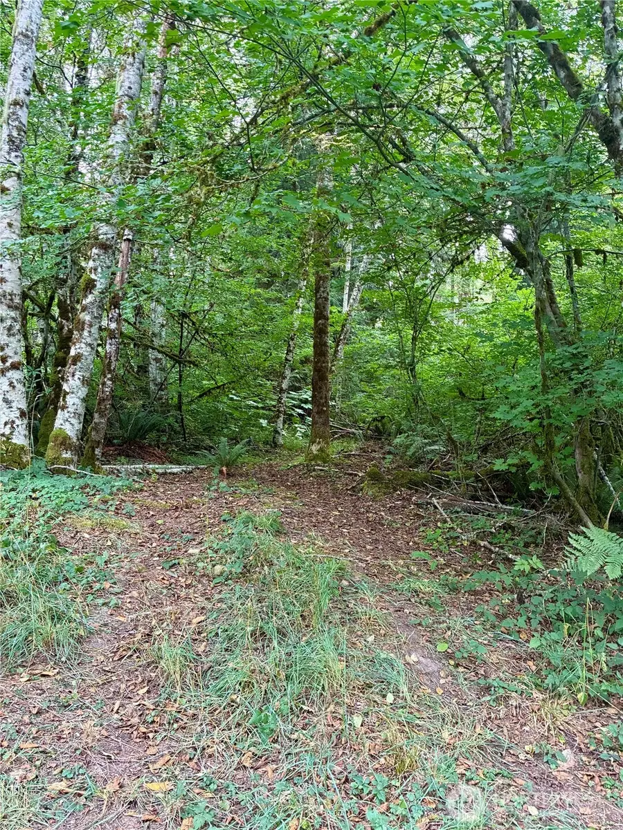 52914 131st Ave E, Eatonville, WA 98328 - #3