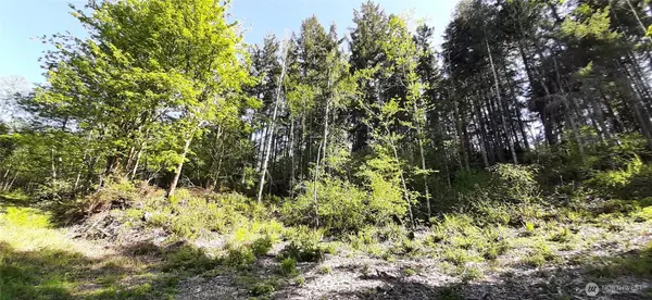 301 NE Wj Way #00939, Belfair, WA 98528